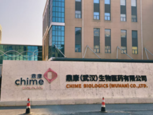 武汉鼎康生物医药有限公司